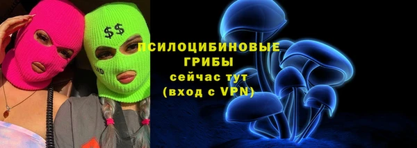 соль ск Снежногорск