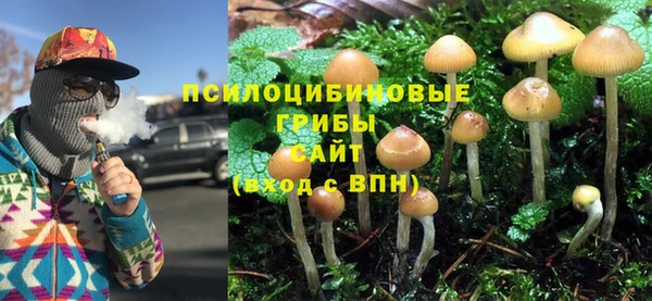 Альфа ПВП Волоколамск