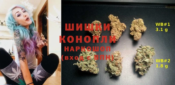 МДПВ Слюдянка