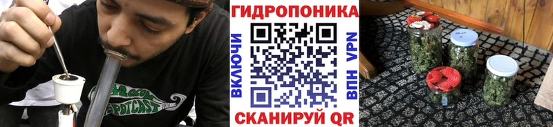 где можно купить наркотик Снежинск Каннабис планчик